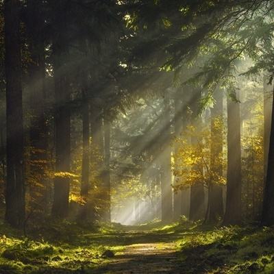 一分钟彩票极速赛车截图