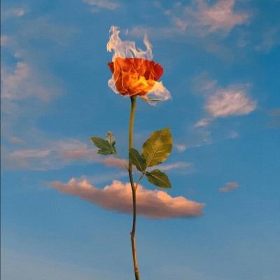 ayx爱游戏app下载