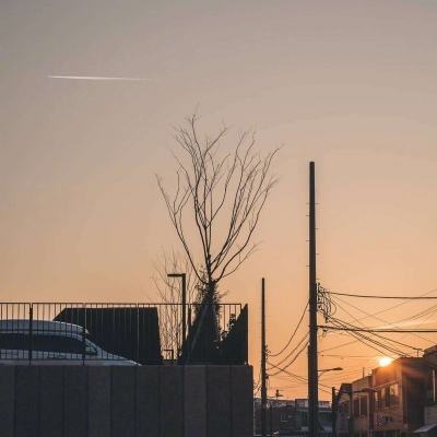 开云·体育(kaiyun)下载手机版