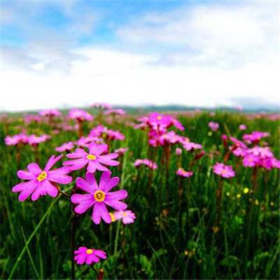 beat365手机app下载