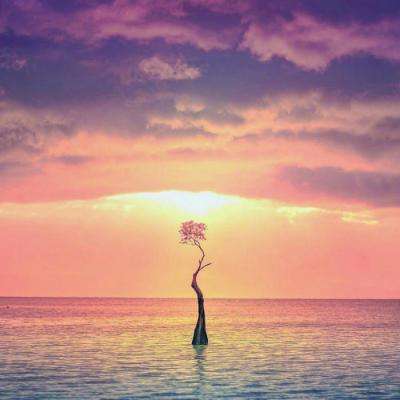 球王会官网注册截图