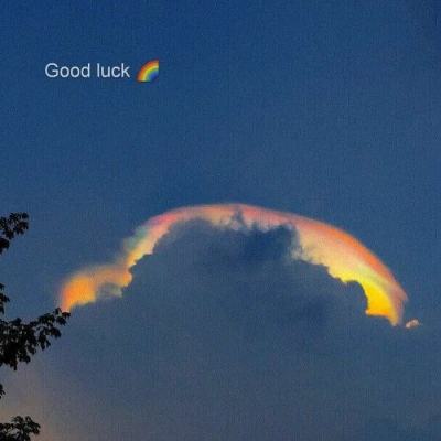 球王会官网注册